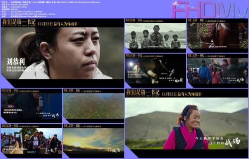-.WEB-DL.1080P.AVC.AAC.Mandarin-FHDMv.jpg