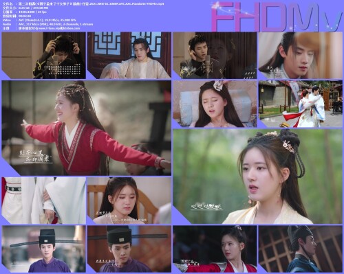 -.2021.WEB-DL.1080P.AVC.AAC.Mandarin-FHDMv0092f8c8130ed77d.jpg