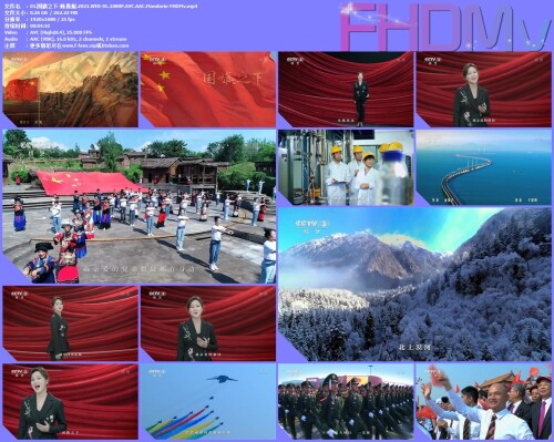01.-.2021.WEB-DL.1080P.AVC.AAC.Mandarin-FHDMv.jpg