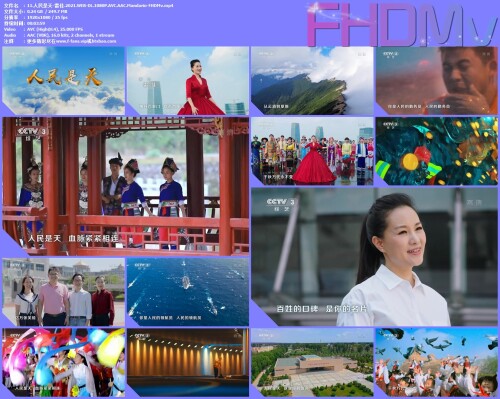 11.-.2021.WEB-DL.1080P.AVC.AAC.Mandarin-FHDMv.jpg