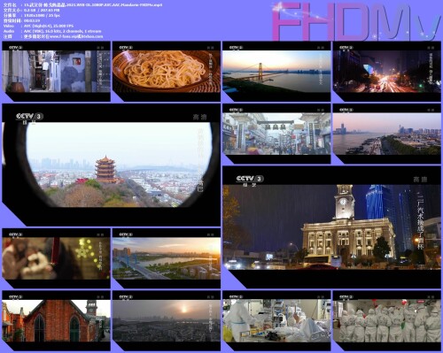 15.-.2021.WEB-DL.1080P.AVC.AAC.Mandarin-FHDMv.jpg