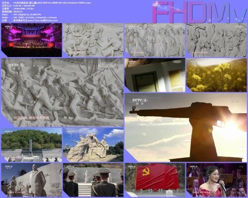 24.-.2021.WEB-DL.1080P.AVC.AAC.Mandarin-FHDMv.jpg