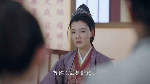 Youfei.2020.EP01.WEB-DL.1080P.H264.AAC.Mandarin-OPS-00_12_20-2021_12_08_00_16_27.jpg