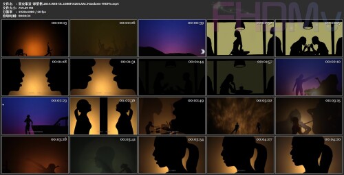 -.2014.WEB-DL.1080P.H264.AAC.Mandarin-FHDMv.mp4.jpg