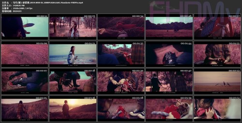 -.2019.WEB-DL.1080P.H264.AAC.Mandarin-FHDMv.mp4.jpg