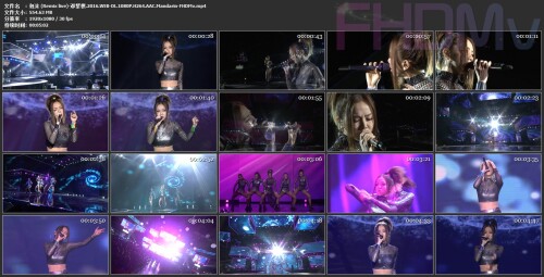 -Remix-live-.2016.WEB-DL.1080P.H264.AAC.Mandarin-FHDMv.mp4.jpg