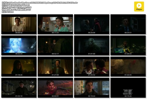 Spider-Man-No-Way-Home.2022.REMUX.1080p.Bluray.DTS-HD.MA.5.1.AVC-EVO.mkv.jpg