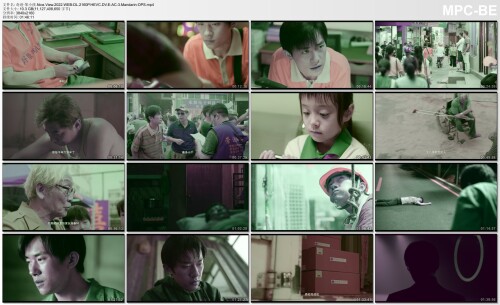 .Nice.View.2022.WEB-DL.2160P.HEVC.DV.E-AC-3.Mandarin-OPS.jpg