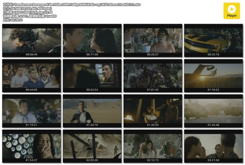 Transformers.Revenge.of.the.Fallen.2009.1080p.REMUX.Blu ray.HEVC.Atmos.TrueHD.7.1