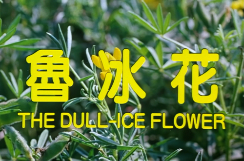3ce6eddfbd67b859f.png