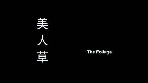 34efd70dd2d82b654.png