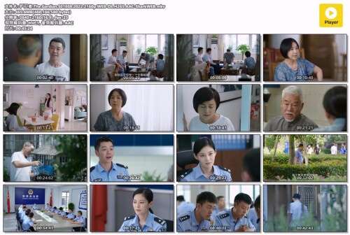 .The.Gardian.S01E08.2022.2160p.WEB-DL.H265.AAC-SharkWEB.mkv.jpg