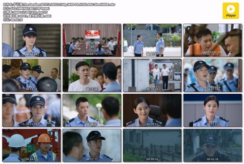 .The.Gardian.S01E11.2022.2160p.WEB-DL.H265.AAC-SharkWEB.mkv.jpg