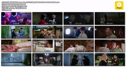 .Will.Embarrassing.2022.2160p.WEB-DL.H264.AAC-SharkWeb.mkv.jpg
