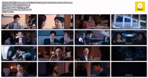 .Flight.to.You.S01E17.2022.2160p.WEB-DL.H265.AAC-SharkWEB.mkv.jpg