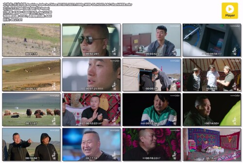 .Aspiring.Jobs.In.China.S01E01.2021.1080p.WEB-DL.H265.AAC-SharkWEB.mkv.jpg