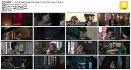 .Wonderful.Hand.S01E01.2023.1080p.WEB-DL.H264.AAC-SharkWEB.mkv.jpg