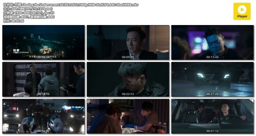 .Chasing.the.Undercurrent.S01E01.2022.1080p.WEB-DL.H264.AAC-SharkWEB.mkv.jpg