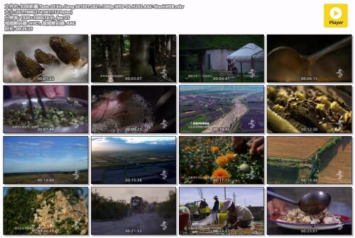 .Taste.Of.Xin.Jiang.S01E01.2021.1080p.WEB-DL.H265.AAC-SharkWEB.mkv.jpg