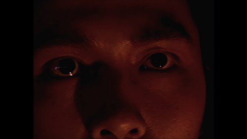 420d448036d23ae0b.png
