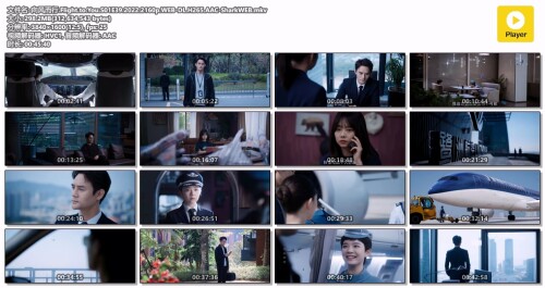 .Flight.to.You.S01E39.2022.2160p.WEB-DL.H265.AAC-SharkWEB.mkv.jpg