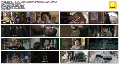 .Wonderful.Hand.S01E11.2023.1080p.WEB-DL.H264.AAC-SharkWEB.mkv.jpg