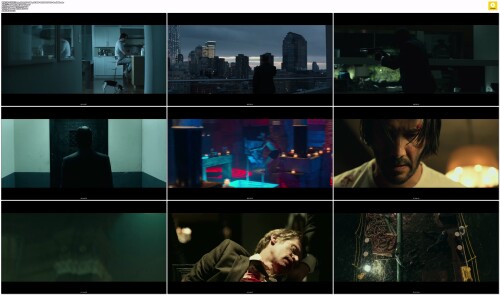 .John.Wick.2014.1080p.NF.WEB-DL.H264.DDP5.1-SharkWEB.mkv.jpg