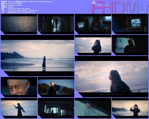 Breakdown-.2022.WEB-DL.2160P.AVC.AAC.Mandarin-FHDMv.mp4.jpg