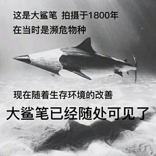 v2-2384dd8c1150f6f53631f90044dd4f96_b.jpg