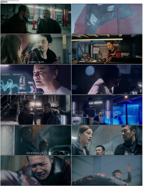 极寒之地.The.Antarctic.Octopus.2023.WEB DL.4K.H265.10bit.AAC.Mandarin OPS.mp4