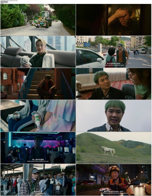 保你平安.Post.Truth.2022.WEB DL.4K.H265.10bit.AAC.Mandarin OPS.mp4