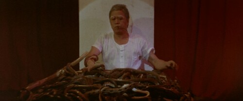 .1982.BDRip.Calamity-of-Snakes.USA.2Audios.FFans.mkv_20230513_194533.845.jpg