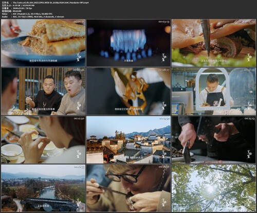 The.Taste.of.Life.S01.2023.EP01.WEB-DL.2160p.H264.AAC.Mandarin-OPS.mp4.jpg