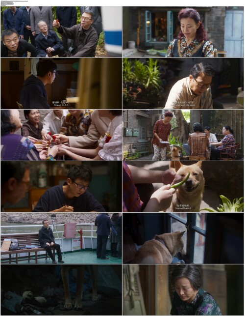 忠犬八公.Hachiko.2023.WEB DL.4K.H265.10bit.AAC.Mandarin OPS.mp4