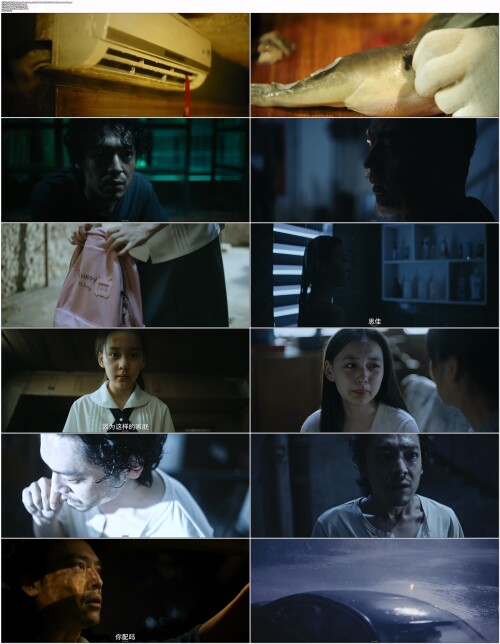 回魂之夜.A.Night.of.Soul.Turning.2023.WEB DL.4K.H265.10bit.AAC.Mandarin OPS.mp4