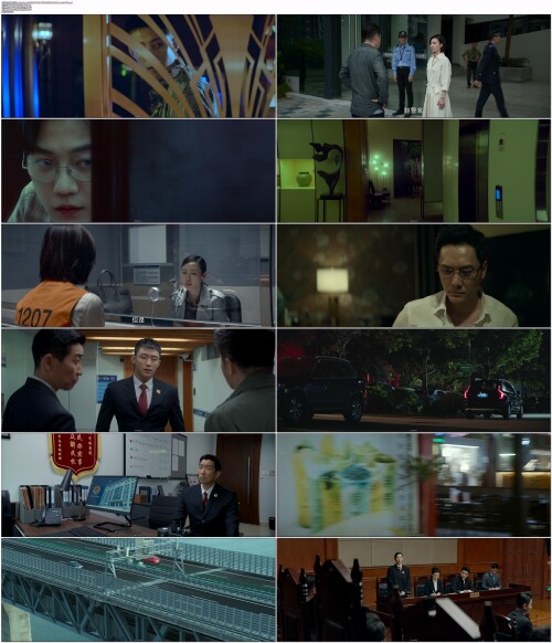 .Justices.Seeker.2023.WEB-DL.4K.H265.10bit.AAC.Mandarin-OPS.mp4.jpg