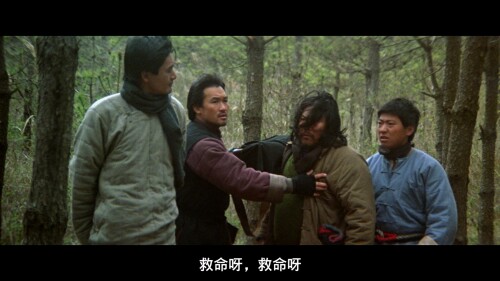 巡城马.The Postman Fights Back 1982 1080p BluRay AVC DTS HD MA 2.0 ApheX 20230830 132345.877