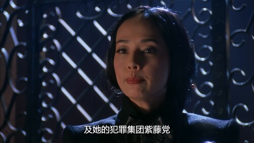 .Protege.de.la.Rose.Noire.2004.WEB-DL.1080p.HEVC.AAC.2Audios-OPS.mkv_20231010_164507.205.jpg