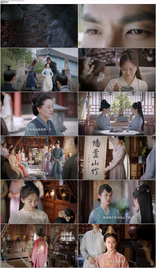 .The.Sword.and.the.Brocade.2021.EP01.WEB-DL.1080p.H264.AAC.Mandarin-OPS.mp4.jpg