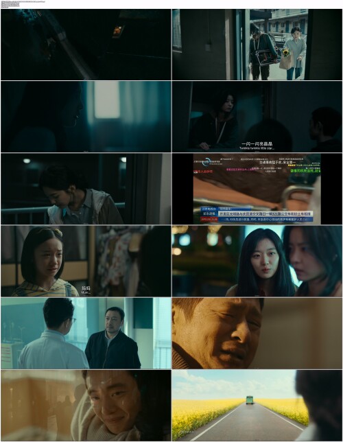 照明商店.Love.Life.Light.2023.WEB DL.4K.H265.10bit.AAC.Mandarin OPS.mp4