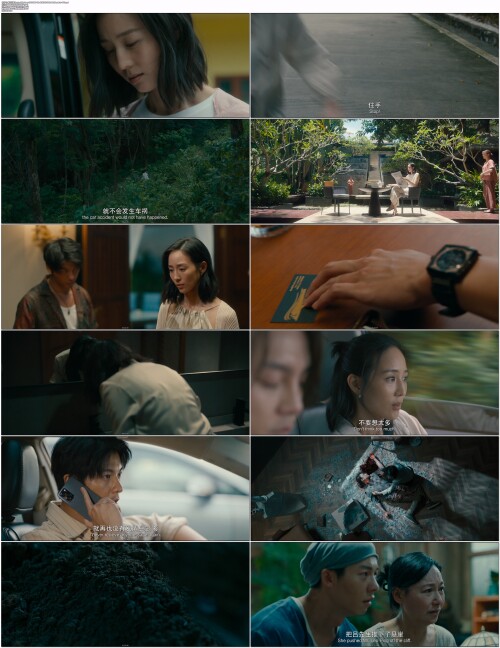 瞒天过海.The.Invisible.Guest.2023.WEB DL.4K.H265.10bit.AAC.Mandarin OPS.mp4