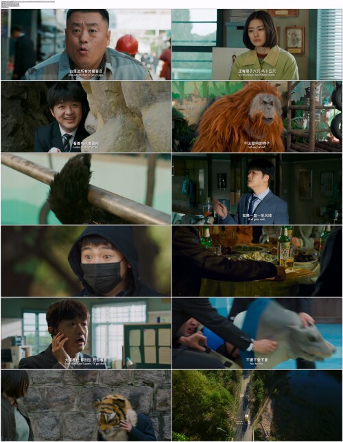 动物园里有什么？.Follow.Bear.to.Adventure.2024.WEB DL.4K.H265.10bit.AAC.Mandarin OPS.mp4