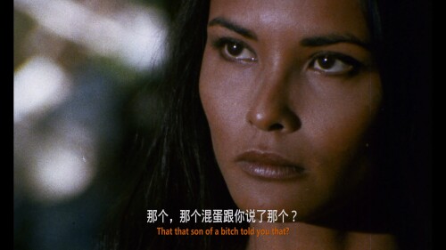 --The-Dirty-Seven-1982Severin-Films----2in1-Wa1STc0aT-HDA-112450tt016453946.14GB_20240303_201416.077.jpg