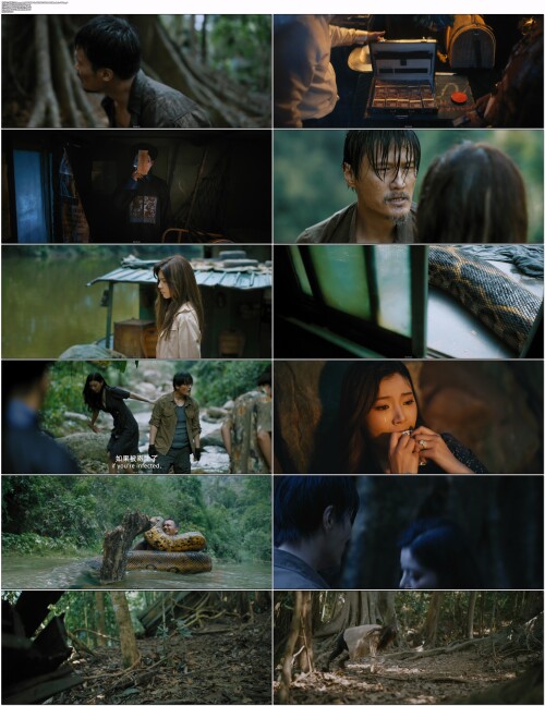 狂蟒之灾.Anaconda.2024.WEB DL.4K.H265.10bit.AAC.Mandarin OPS.mp4