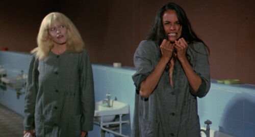 .1983.BDRip.Womens-Prison-Massacre.USA.AC3.FFans.mkv_20240316_131403.521.jpg