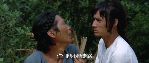 方世玉与洪熙官.1974.BDRip.Heroes Two.USA.AC3.FFans@至尊宝.mkv 20240318 140151.942