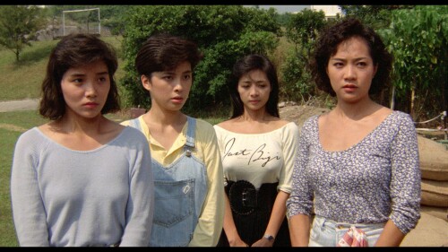 霸王花.The.Inspector.Wears.Skirts.1988.GBR.BluRay.1080p.AVC.LPCM.2.0 FFansDIY@至尊宝 20240321 212105.355