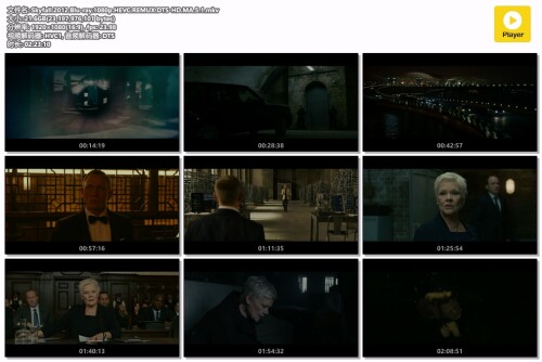 Skyfall.2012.Blu-ray.1080p.HEVC.REMUX.DTS-HD.MA.5.1.jpg
