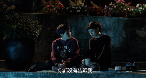 .1994.BDRip.A-Confucian-Confusion.JPN.AC3.FFans.mkv_20240407_093638.552.jpg