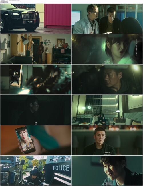 危险证据.Dangerous.Evidence.2024.WEB DL.4K.H265.10bit.AAC.Mandarin OPS.mp4